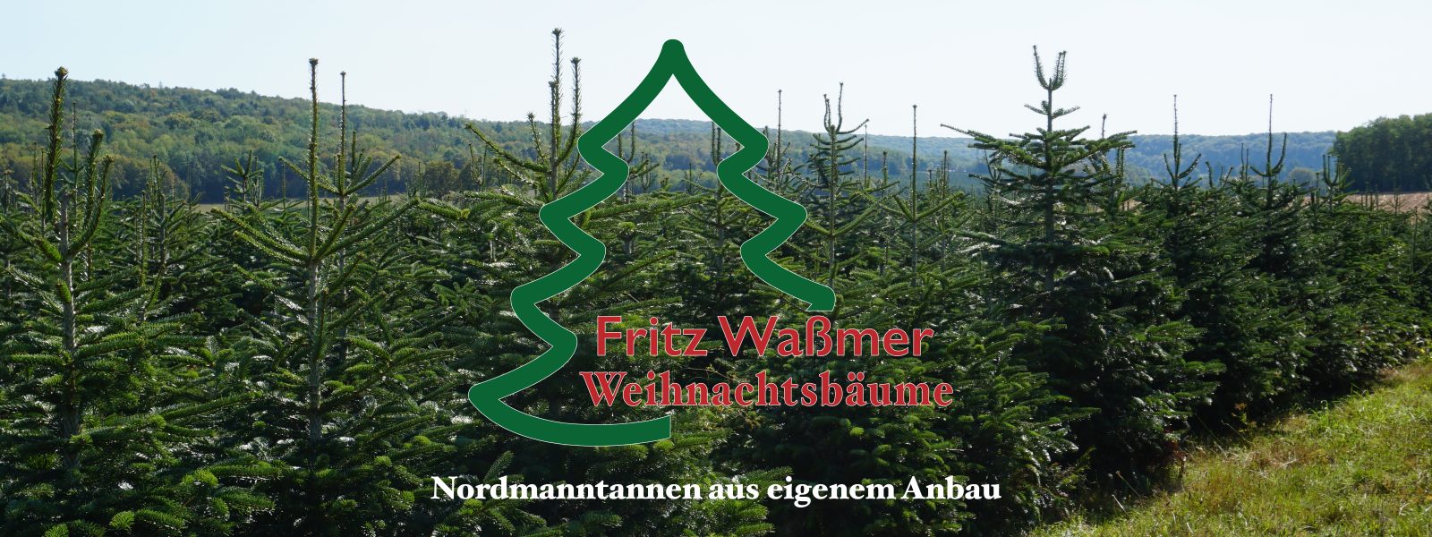 Header-Wassmer-Weihnachtsbaeume2-2000x600px