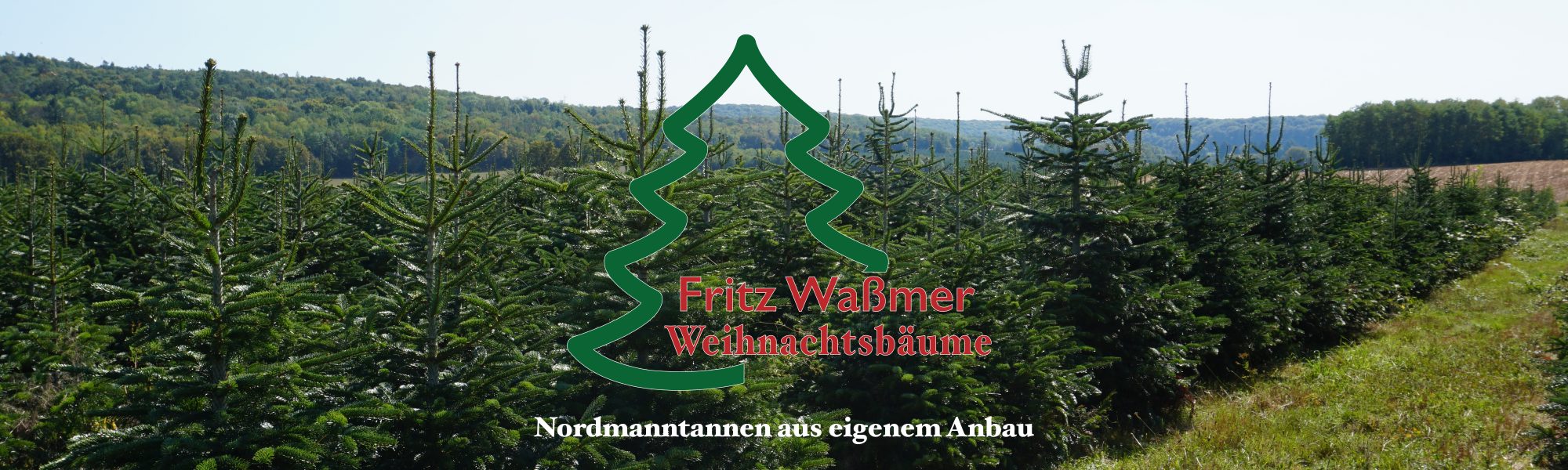 Header-Wassmer-Weihnachtsbaeume2-2000x600px